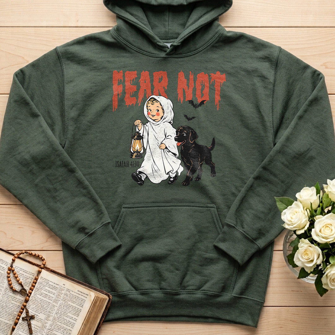 Fear Not Isaiah 41.10 06
