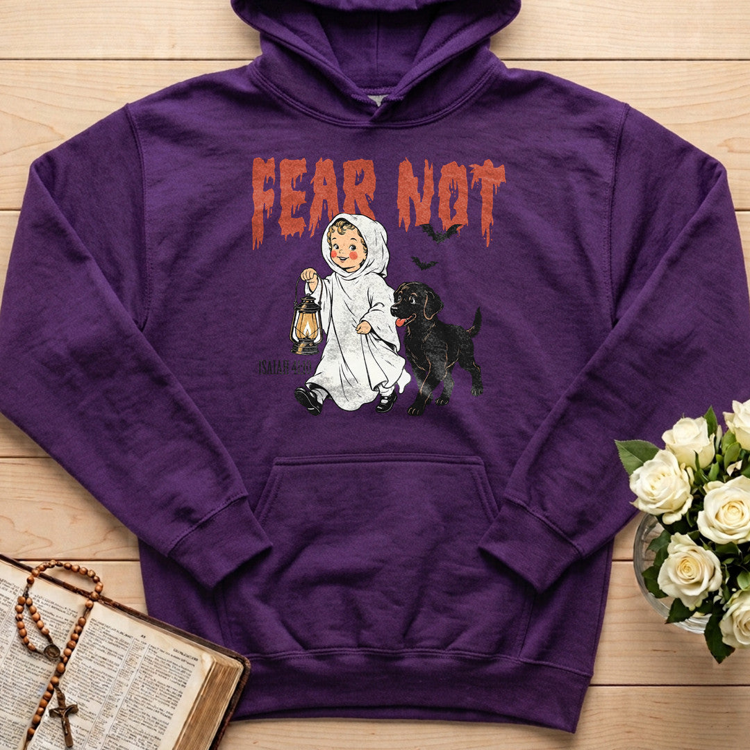 Fear Not Isaiah 41.10 06