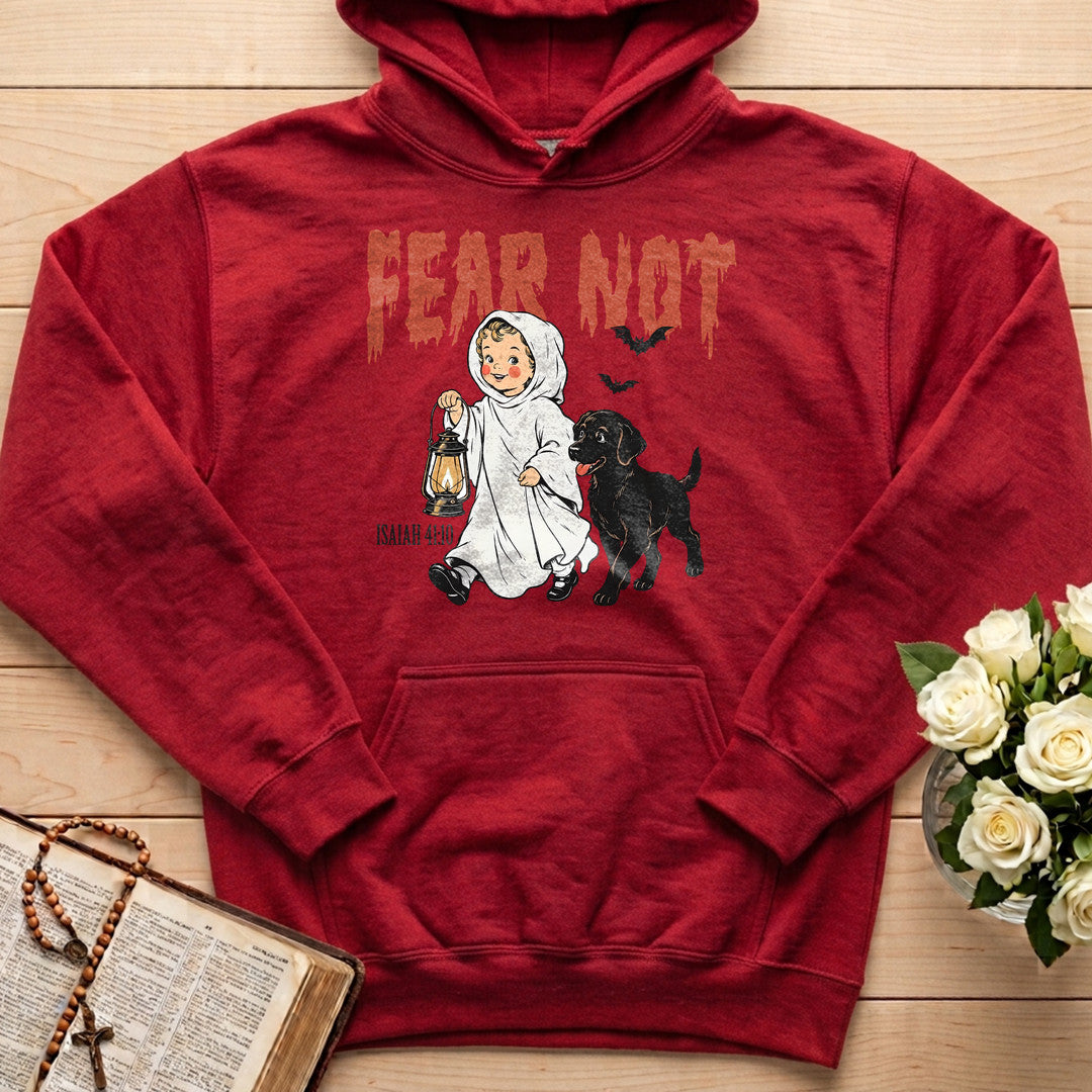 Fear Not Isaiah 41.10 06