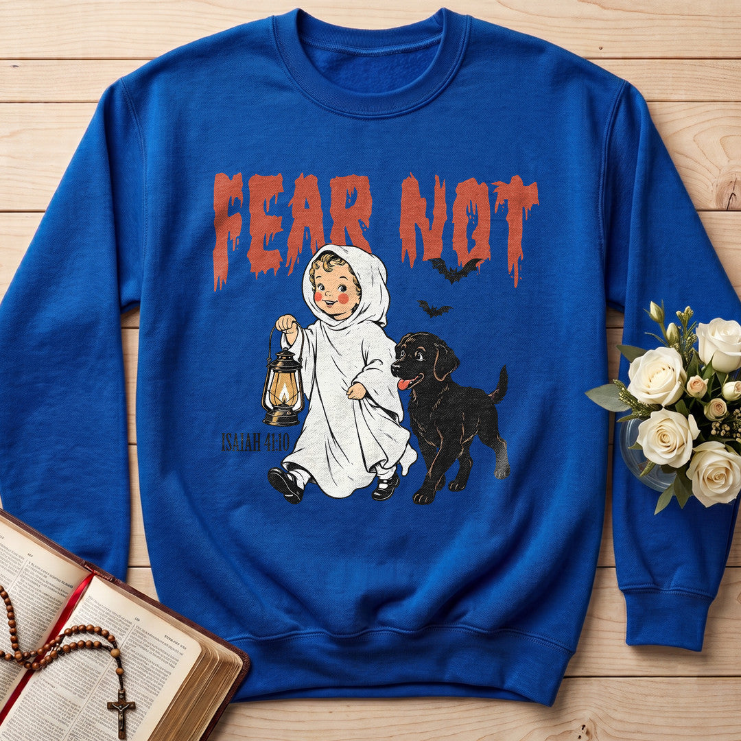 Fear Not Isaiah 41.10 06