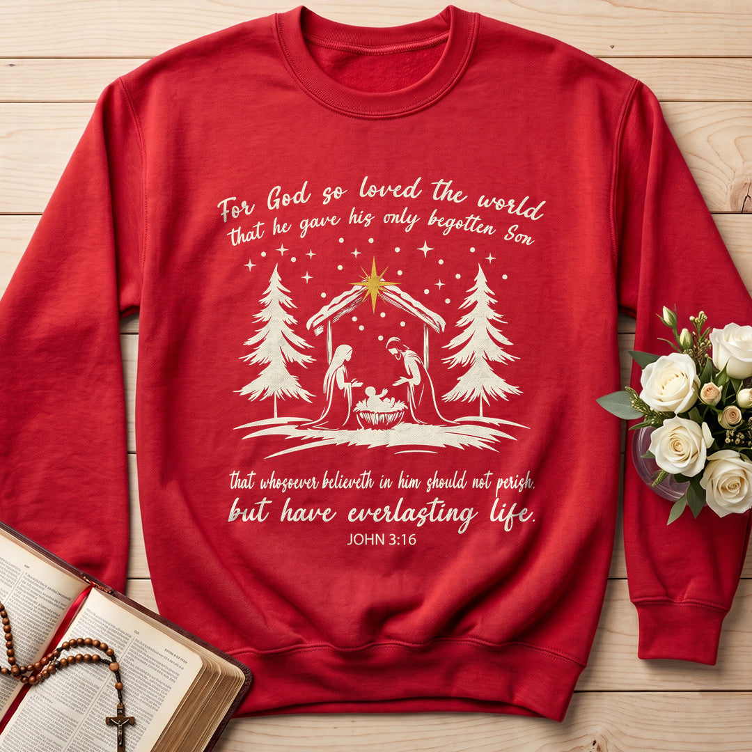 For God So Loved The World That He Gave His Only Begotten Son 02