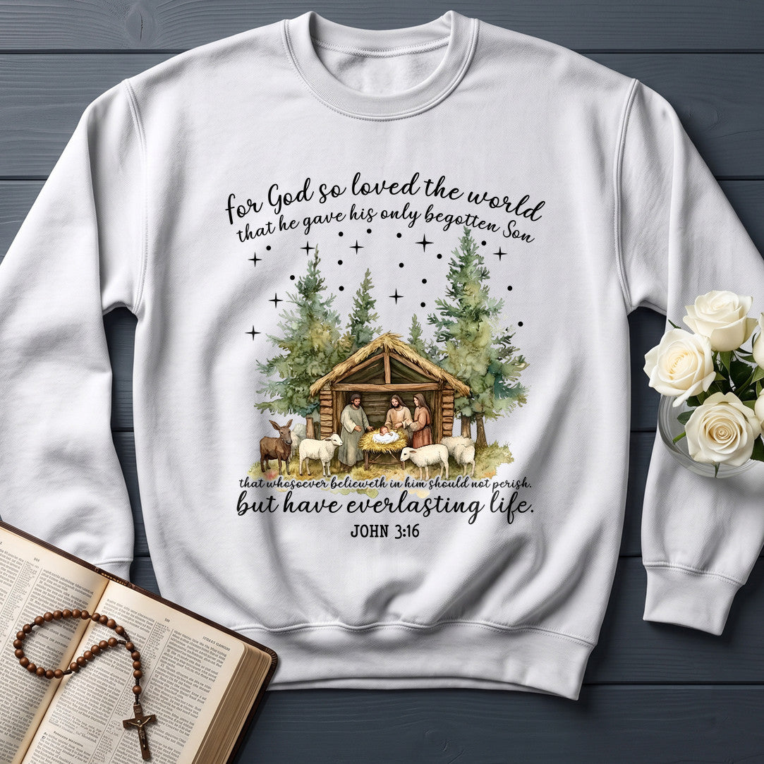 For God So Loved The World That He Gave His Only Begotten Son 03