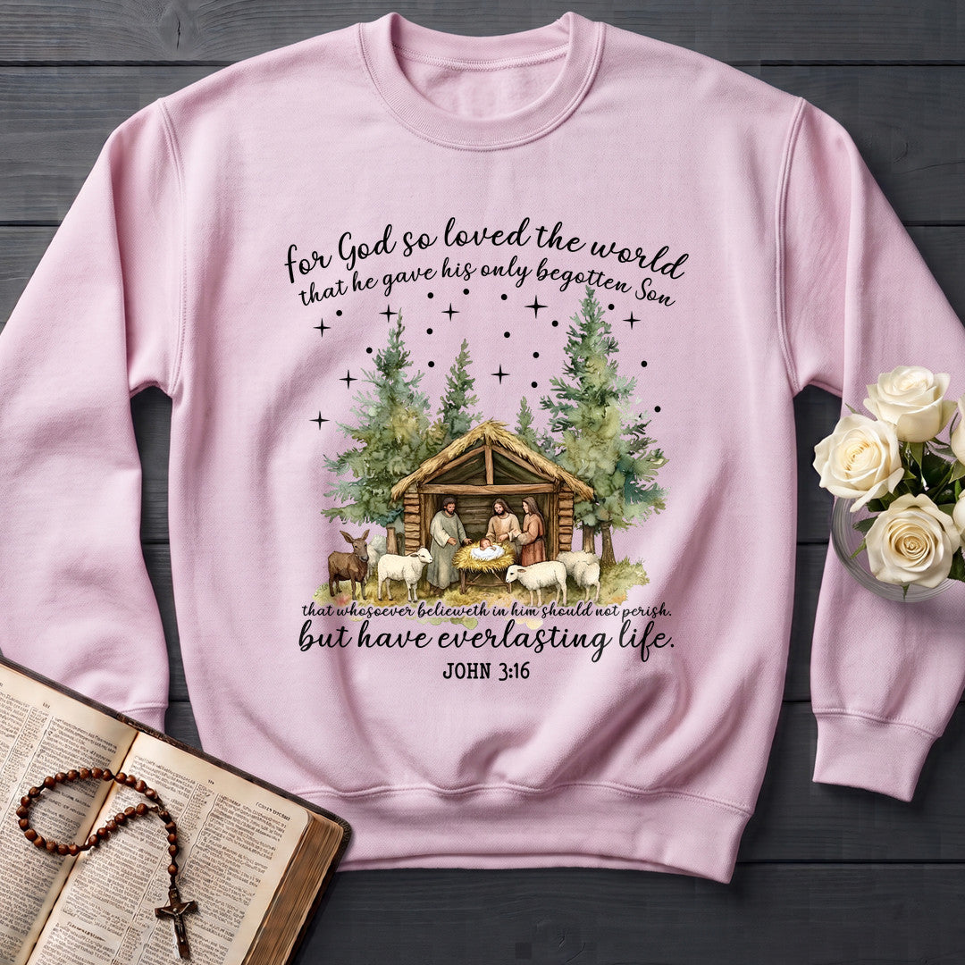 For God So Loved The World That He Gave His Only Begotten Son 03