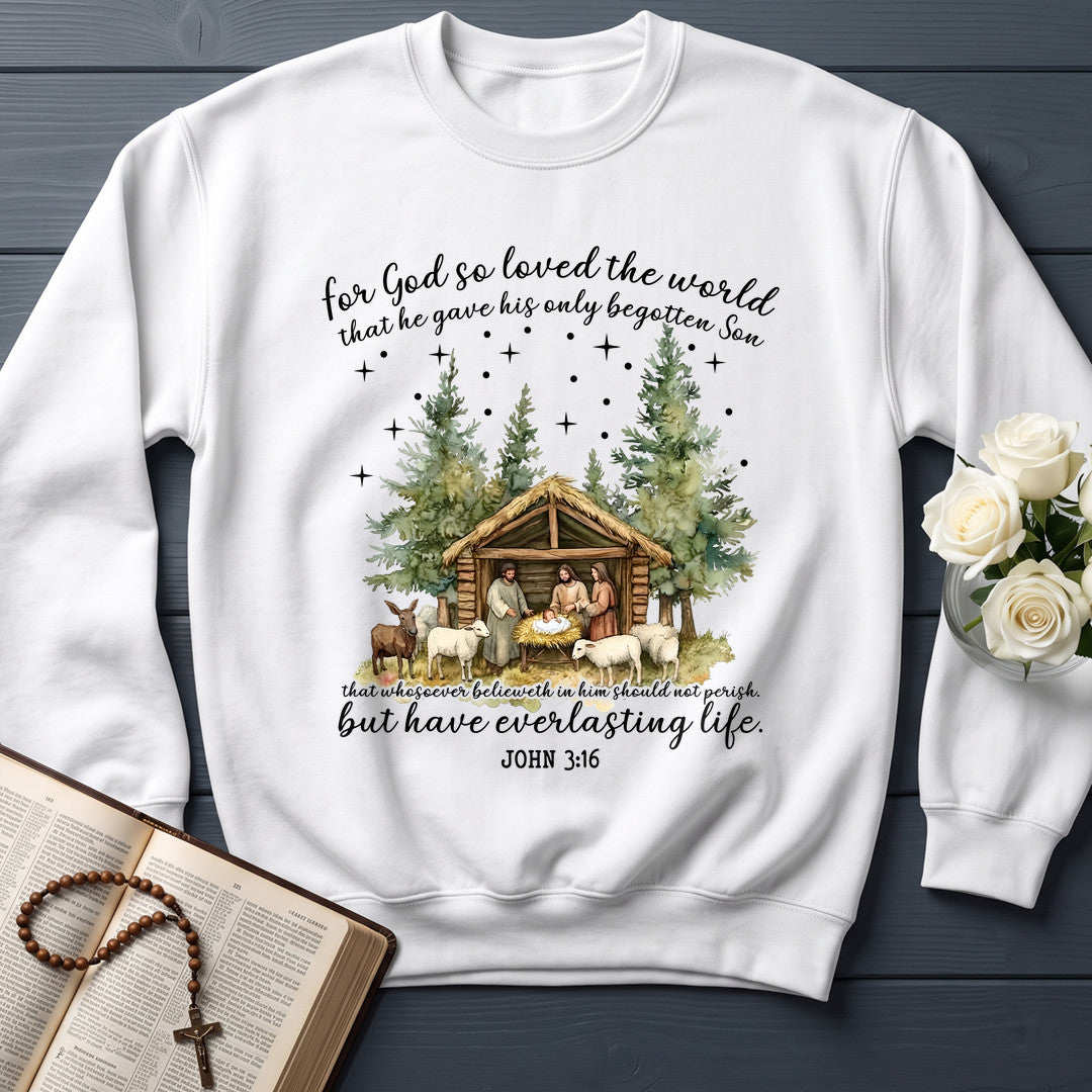 For God So Loved The World That He Gave His Only Begotten Son 03