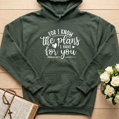 For I Know The Plans I Have For You Jeremiah 29.11 01