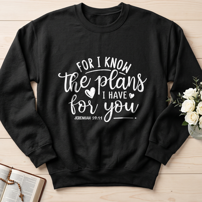 For I Know The Plans I Have For You Jeremiah 29.11 01