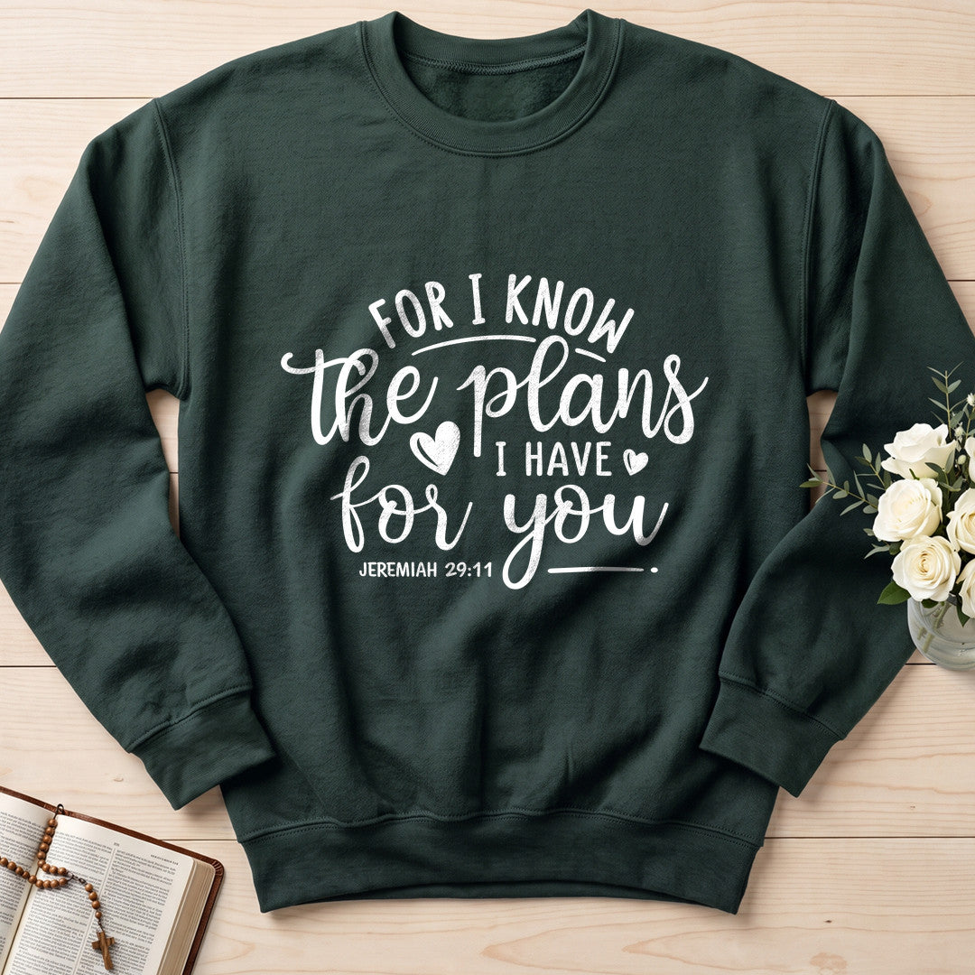 For I Know The Plans I Have For You Jeremiah 29.11 01