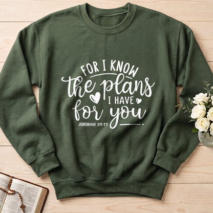 For I Know The Plans I Have For You Jeremiah 29.11 01