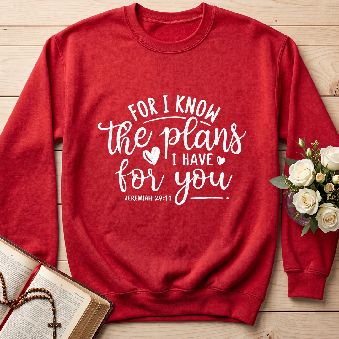 For I Know The Plans I Have For You Jeremiah 29.11 01
