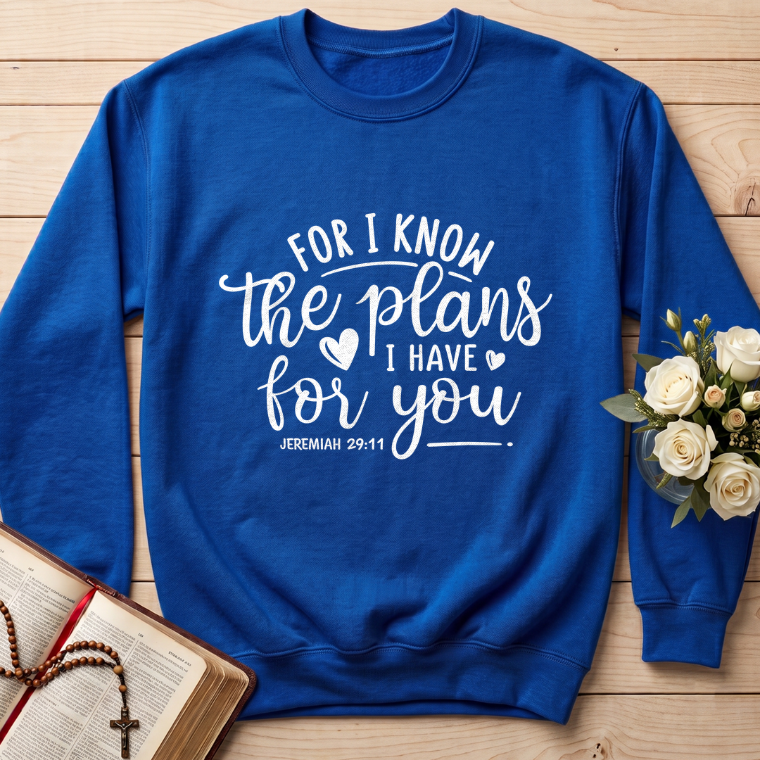 For I Know The Plans I Have For You Jeremiah 29.11 01
