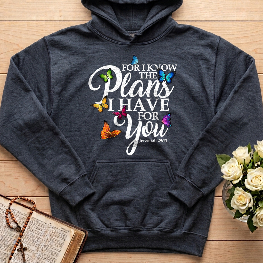 For I Know The Plans I Have For You Jeremiah 29.11 03