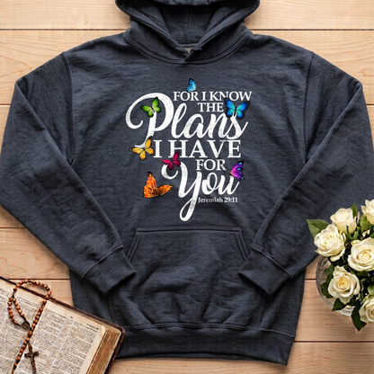 For I Know The Plans I Have For You Jeremiah 29.11 03