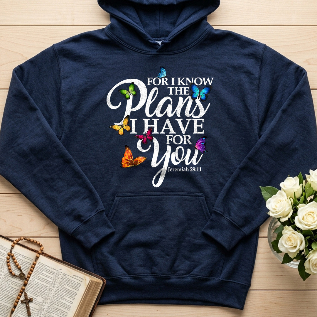 For I Know The Plans I Have For You Jeremiah 29.11 03
