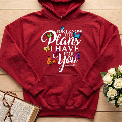 For I Know The Plans I Have For You Jeremiah 29.11 03