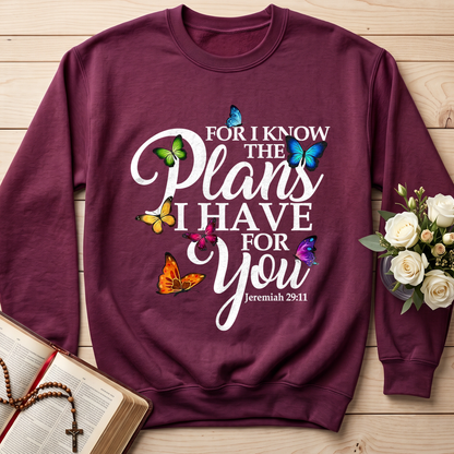 For I Know The Plans I Have For You Jeremiah 29.11 03