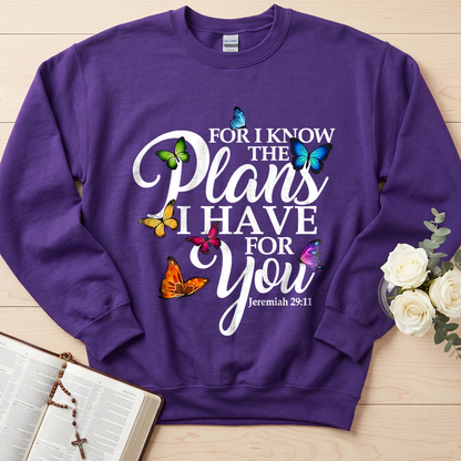 For I Know The Plans I Have For You Jeremiah 29.11 03