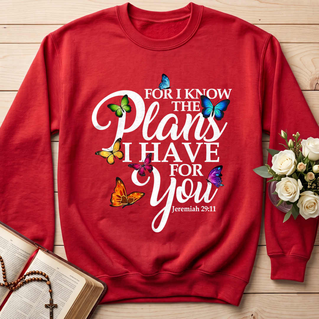 For I Know The Plans I Have For You Jeremiah 29.11 03