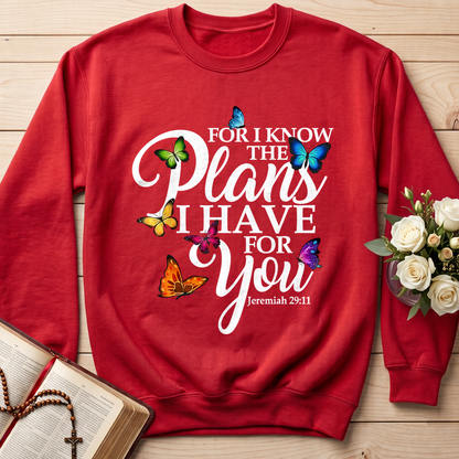 For I Know The Plans I Have For You Jeremiah 29.11 03