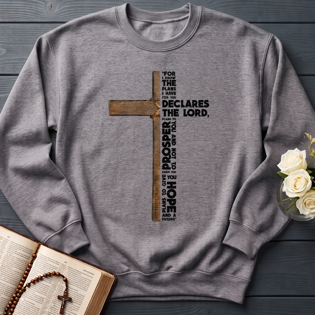 For I Know The Plans I Have For You Jeremiah 29.11 05