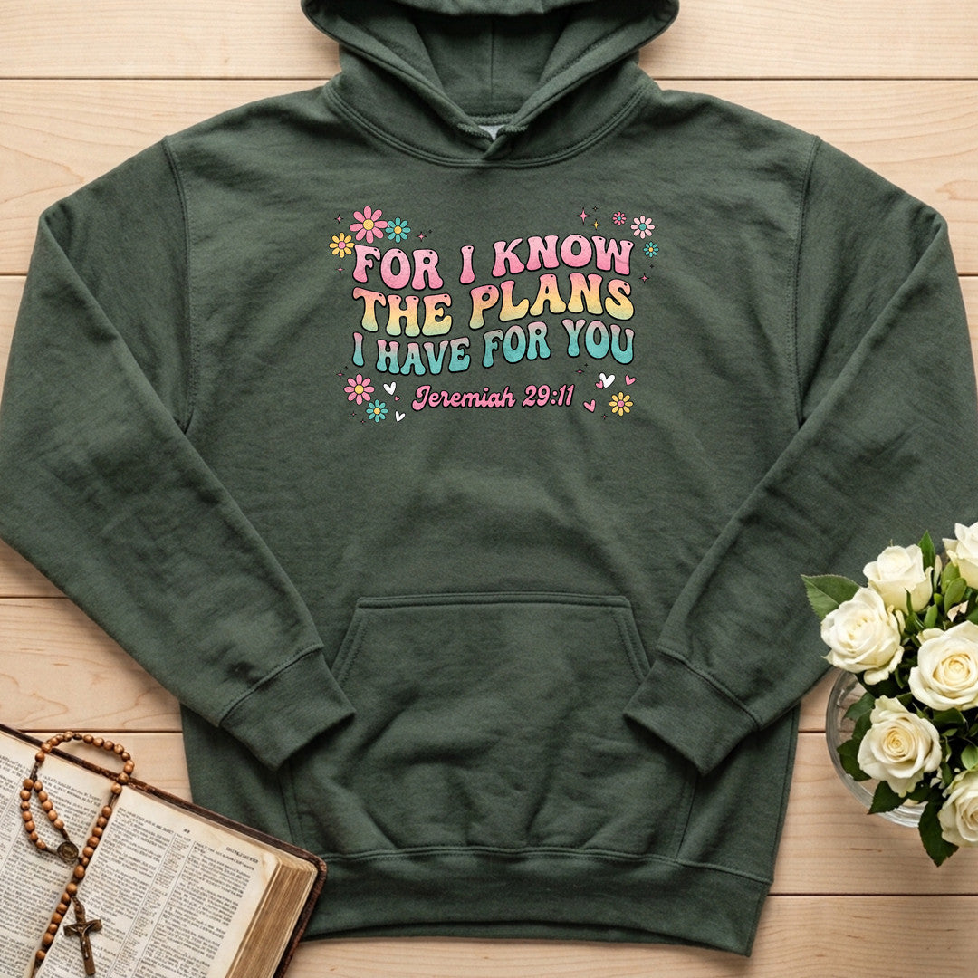 For I Know The Plans I Have For You Jeremiah 29.11 23