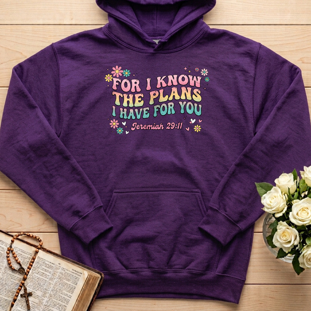 For I Know The Plans I Have For You Jeremiah 29.11 23