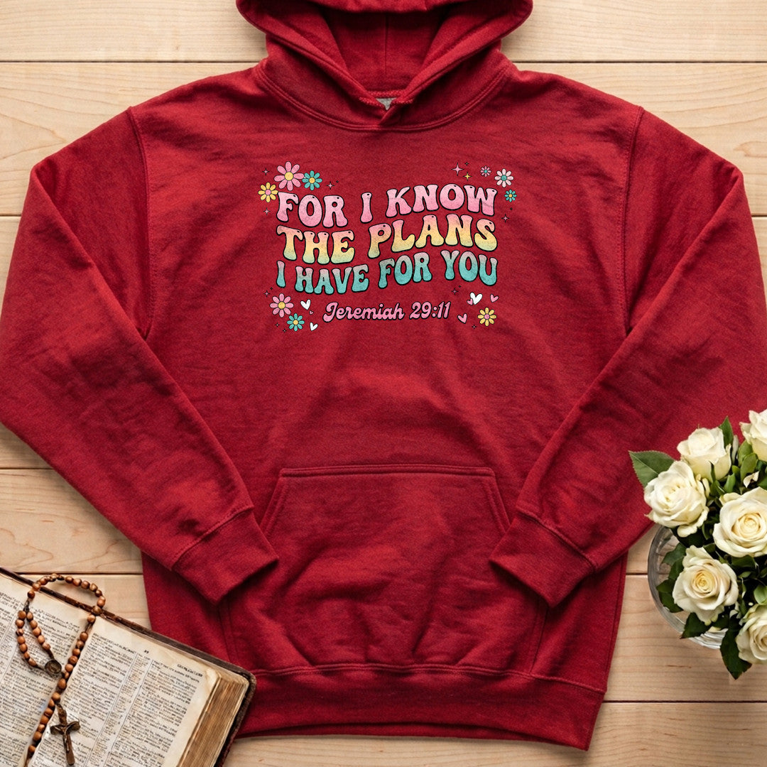 For I Know The Plans I Have For You Jeremiah 29.11 23