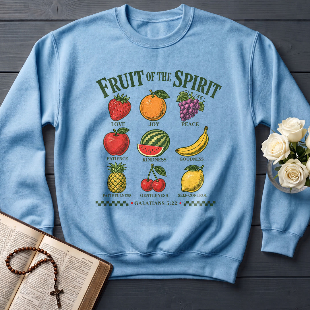 Fruit Of The Spirit Galatians 5.22 14