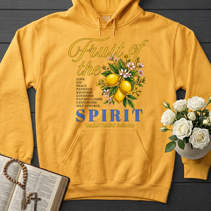 Fruit Of The Spirit Galatians 5.22-23 01