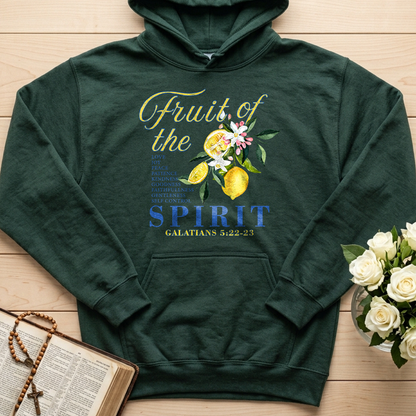 Fruit Of The Spirit Galatians 5.22-23 03