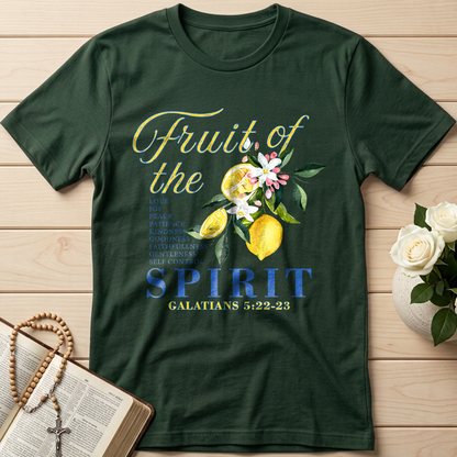 Fruit Of The Spirit Galatians 5.22-23 03