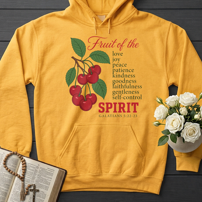 Fruit Of The Spirit Galatians 5.22-23 06