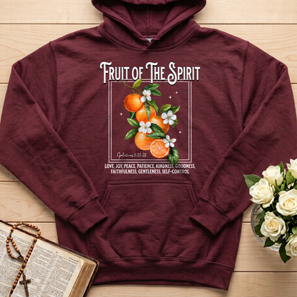 Fruit Of The Spirit Galatians 5.22-23 07