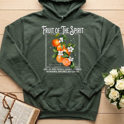 Fruit Of The Spirit Galatians 5.22-23 07
