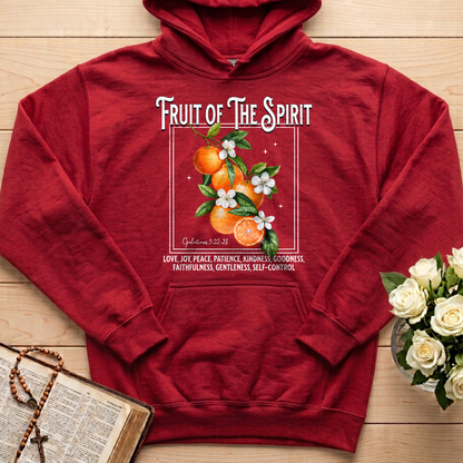 Fruit Of The Spirit Galatians 5.22-23 07