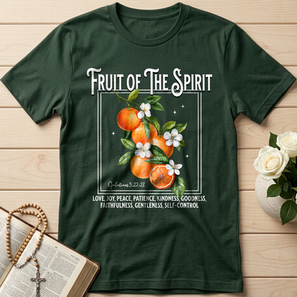 Fruit Of The Spirit Galatians 5.22-23 07