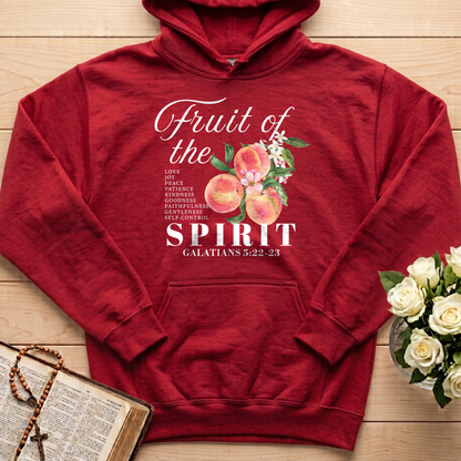 Fruit Of The Spirit Galatians 5.22-23 08