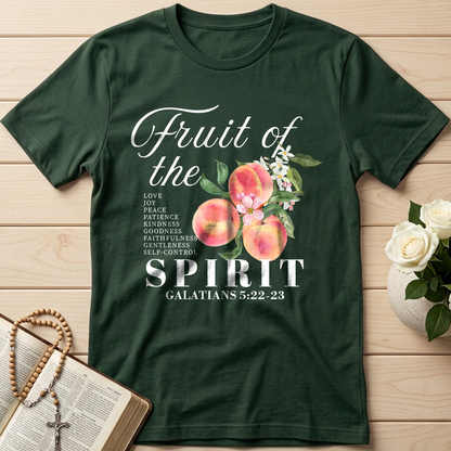 Fruit Of The Spirit Galatians 5.22-23 08