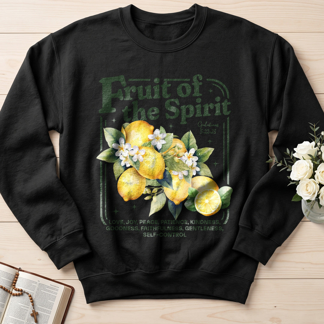 Fruit Of The Spirit Galatians 5.22-23 15