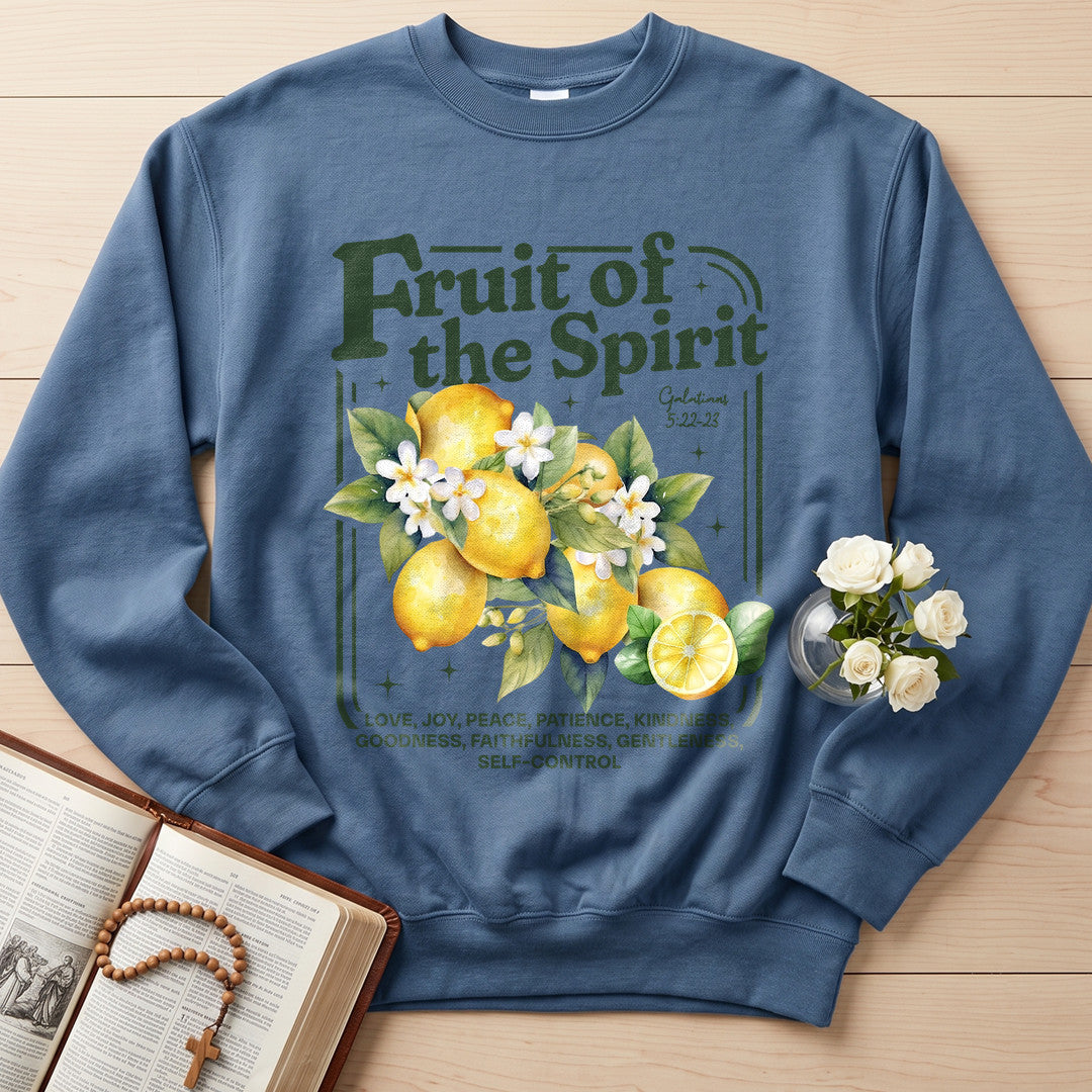Fruit Of The Spirit Galatians 5.22-23 15
