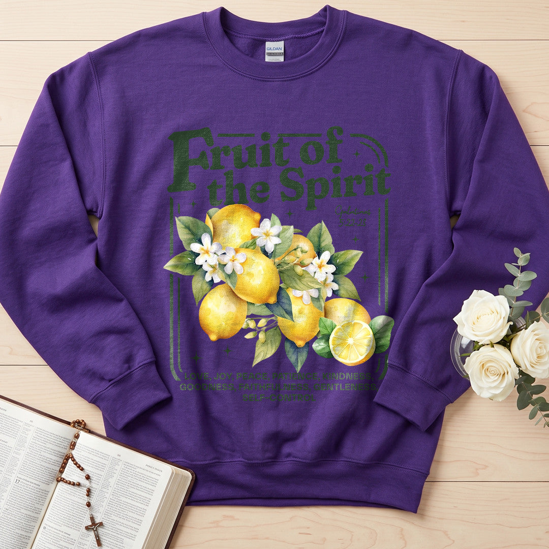 Fruit Of The Spirit Galatians 5.22-23 15