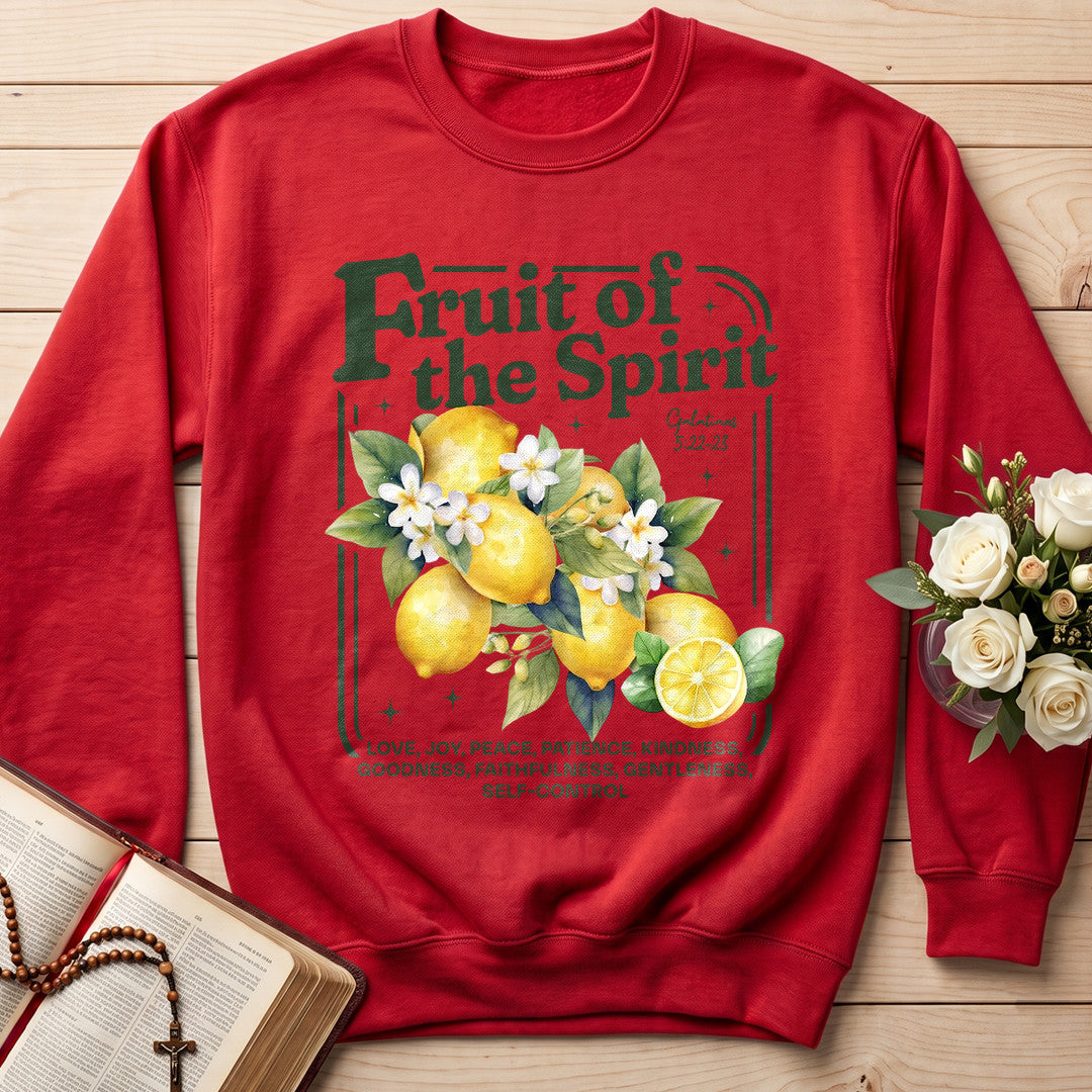 Fruit Of The Spirit Galatians 5.22-23 15