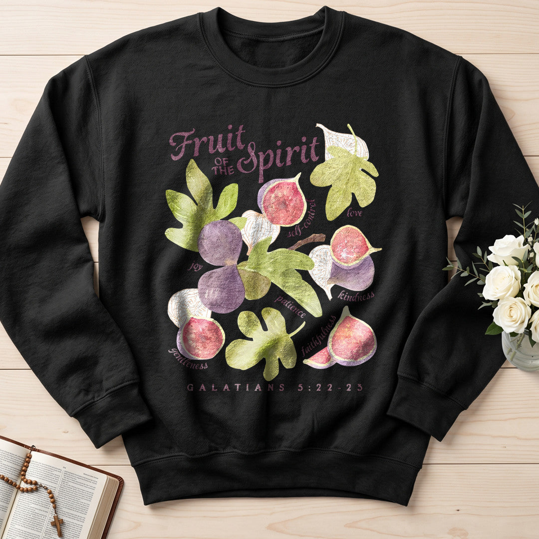 Fruit Of The Spirit Galatians 5.22-23 16