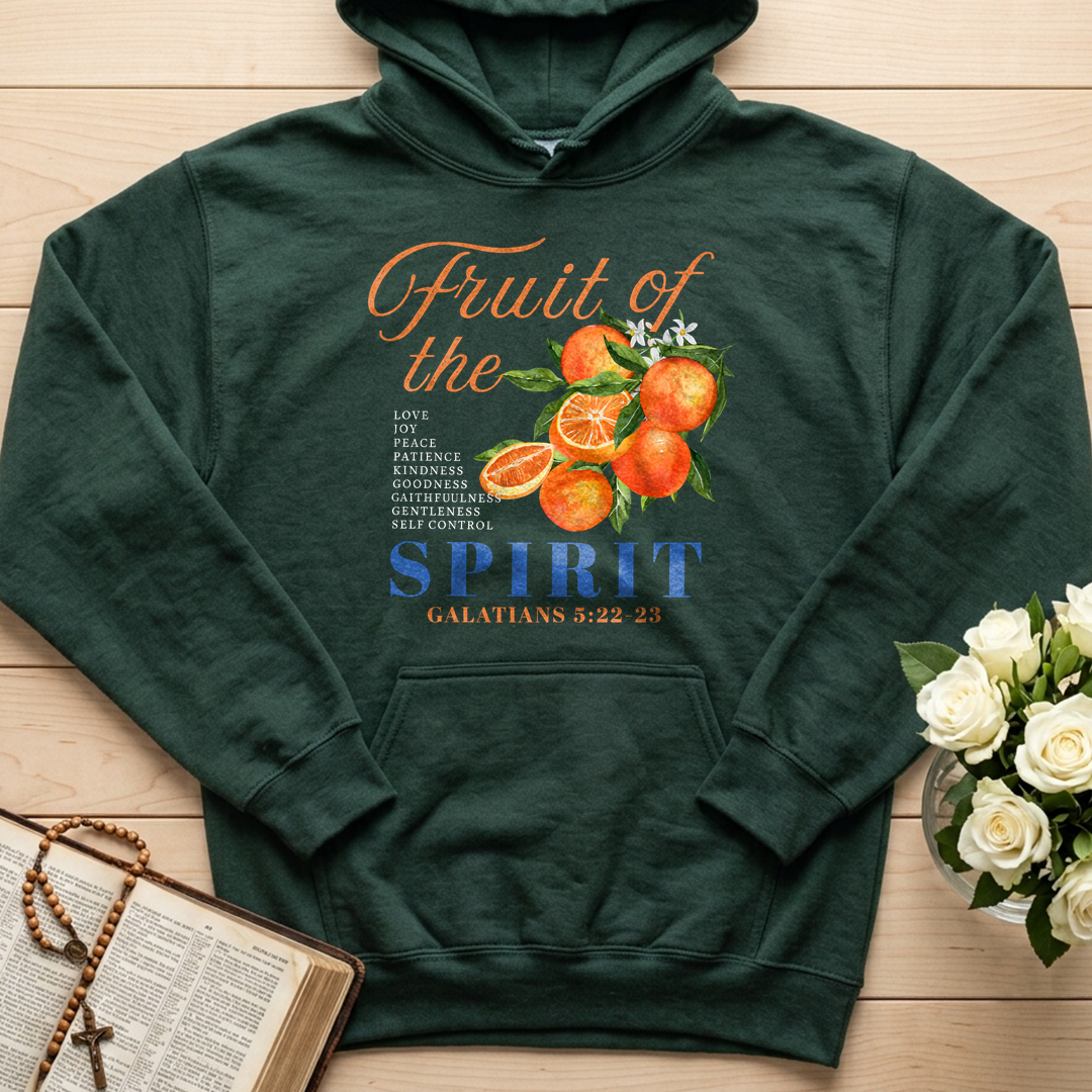 Fruit Of The Spirit Galatians 5.22-23