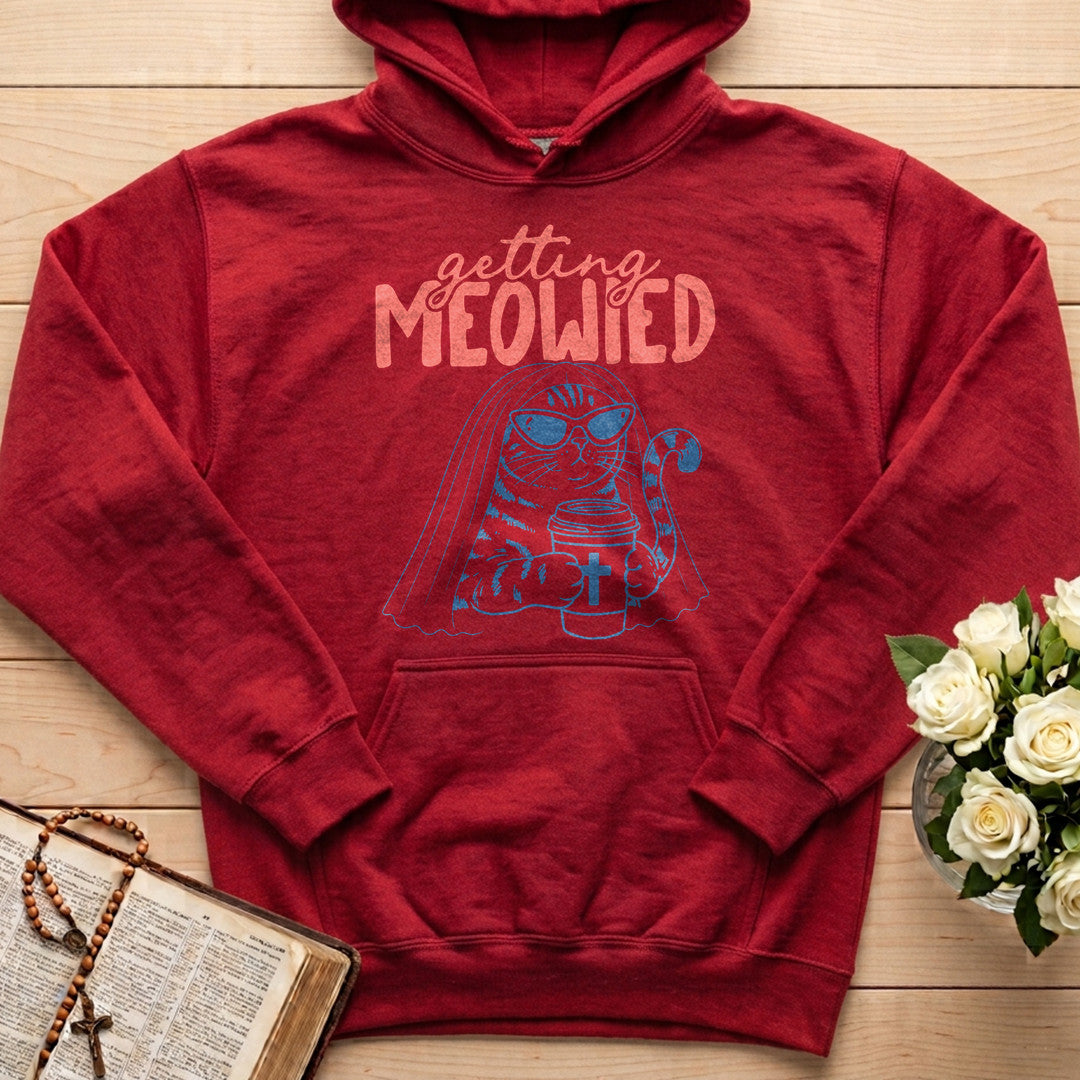 Getting Meowied 01