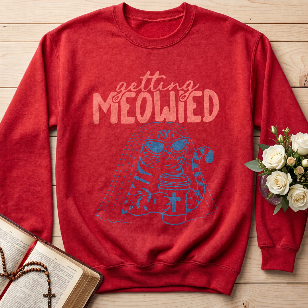 Getting Meowied 01