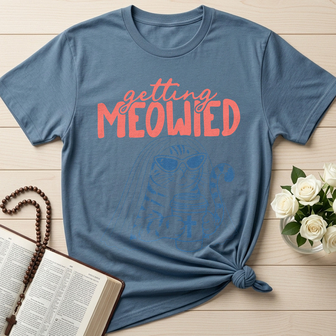 Getting Meowied 01