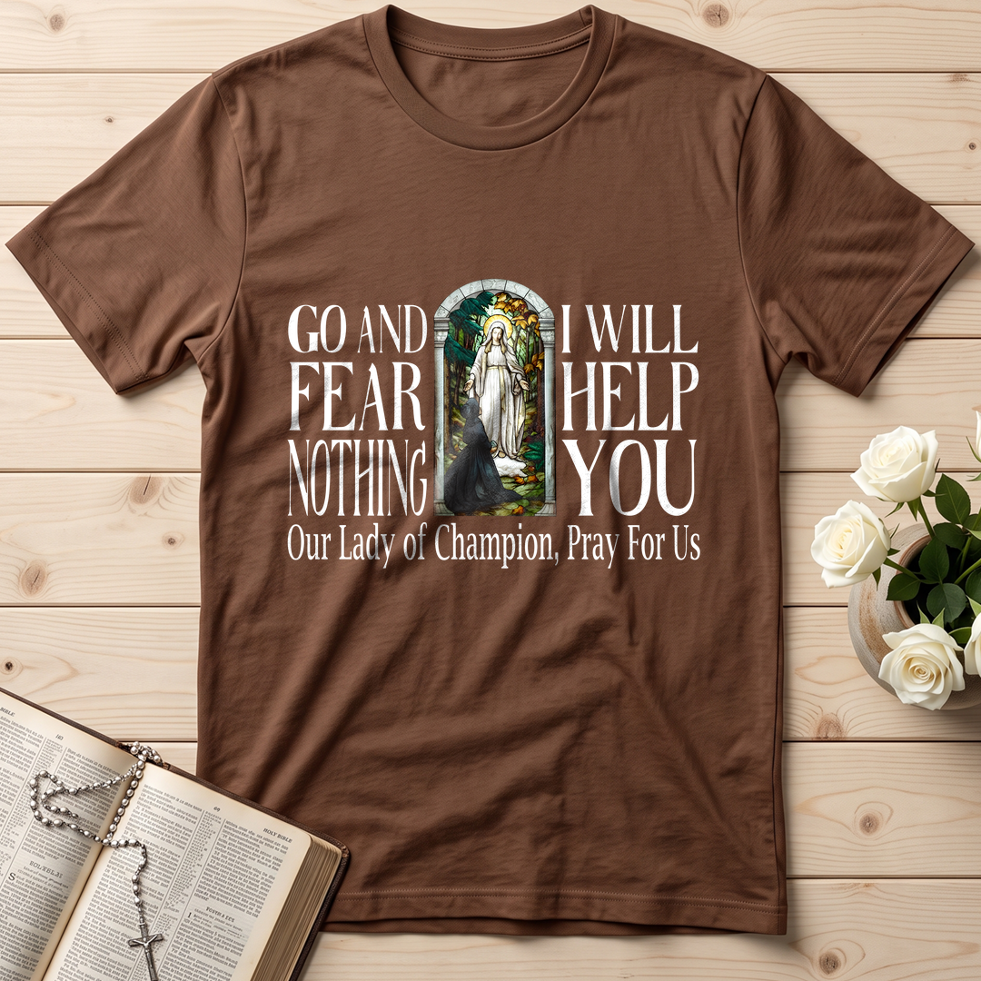 Go And Fear Nothing I Will Help You 01