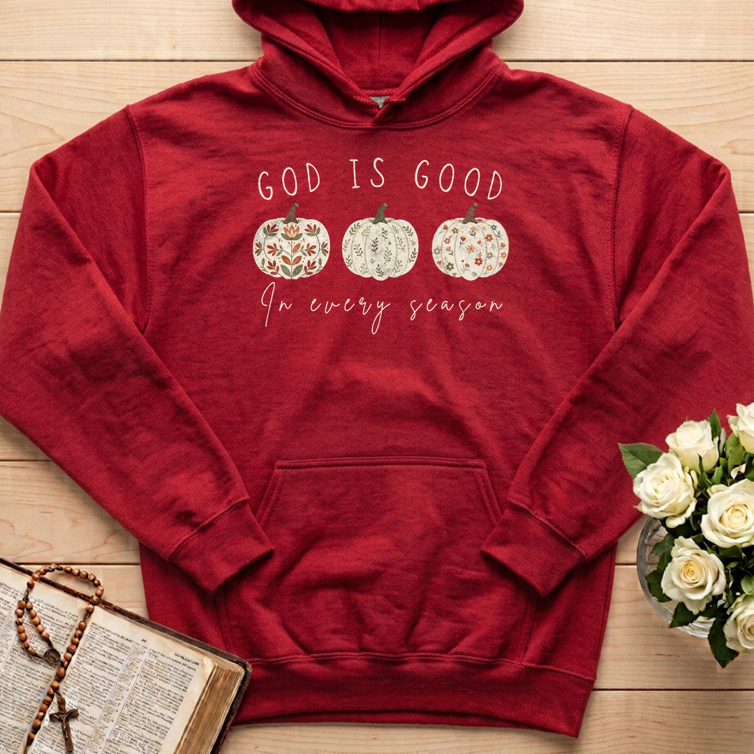 God Is Good In Every Season 01