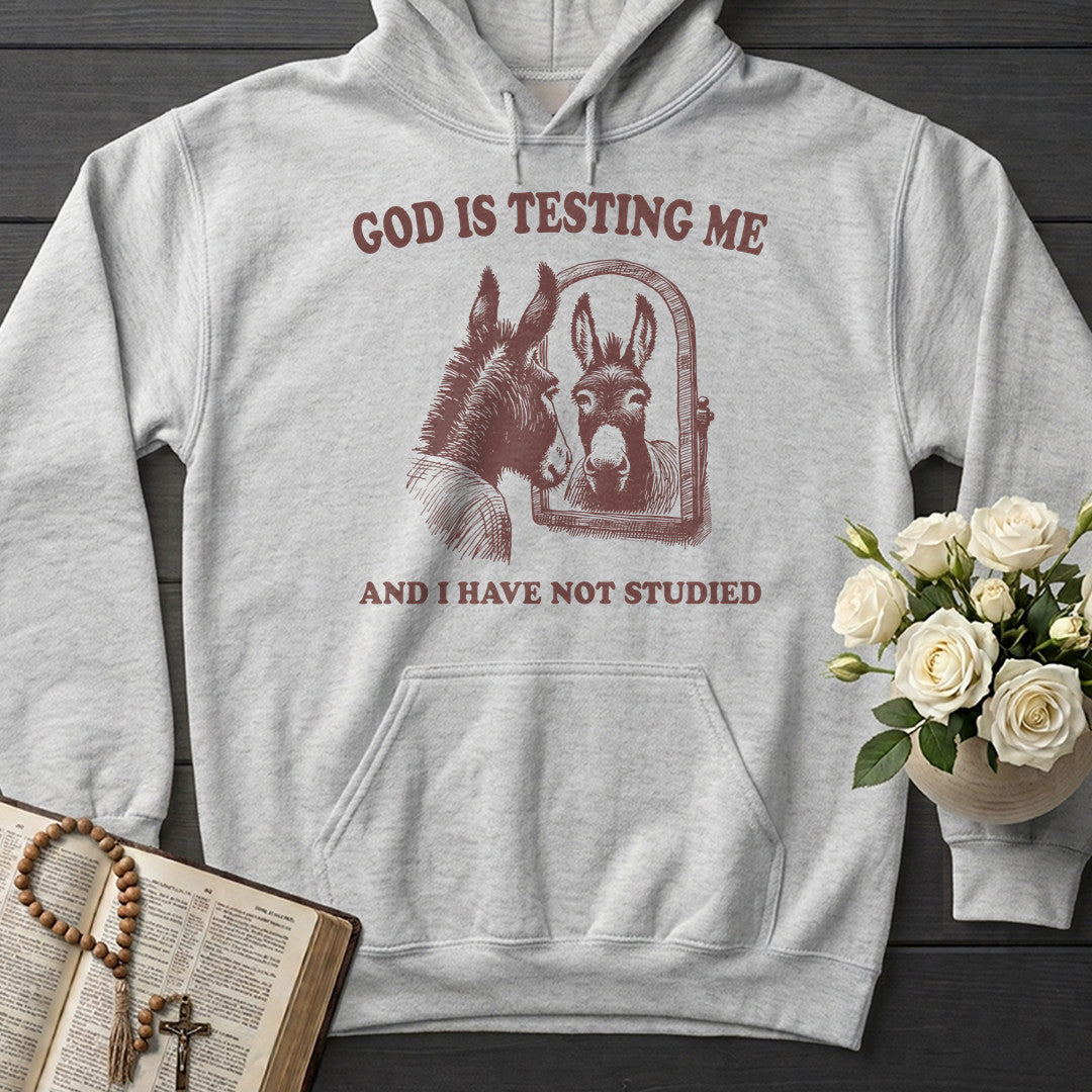 God Is Testing Me And I Have Not Studied 01
