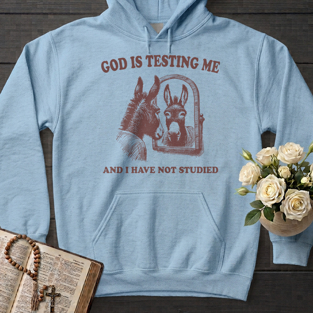 God Is Testing Me And I Have Not Studied 01